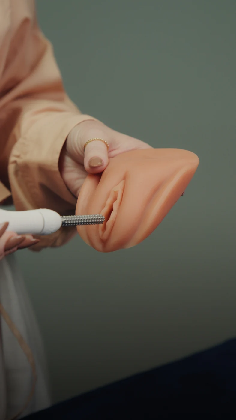 Demonstração educativa de um aplicador sobre um modelo anatômico de silicone da vulva